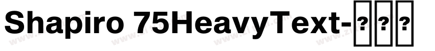 Shapiro 75HeavyText字体转换 Shapiro 75HeavyText字体转换
